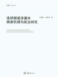 连拱隧道渗漏水病害机理与防治研究