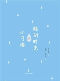 雕刻时光的小勺猫