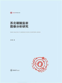 苏北碳酸盐岩图像分析研究