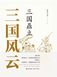 三国风云：三国鼎立