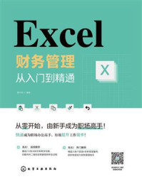 Excel财务管理:从入门到精通