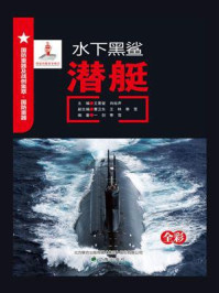 水下黑鲨：潜艇
