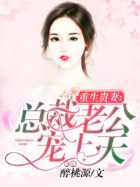 重生贵妻：总裁老公宠上天