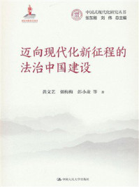 迈向现代化新征程的法治中国建设