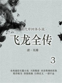 清代小说：飞龙全传 3