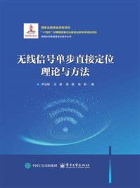 无线信号单步直接定位理论与方法