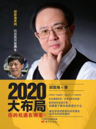 2020大布局