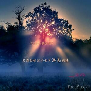 嗜血魅影