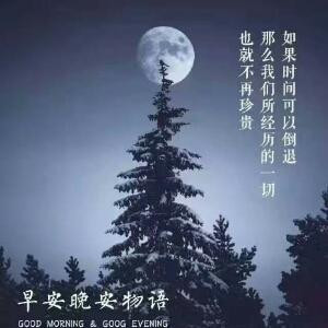 静静的