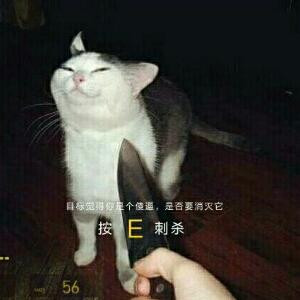 千年污师