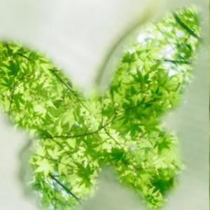 锦上添花色愈鲜