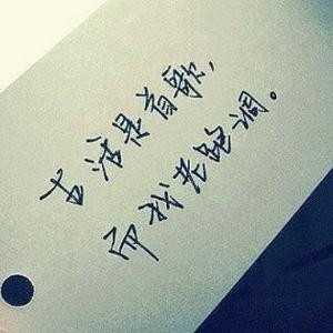 潇潇洒洒的林