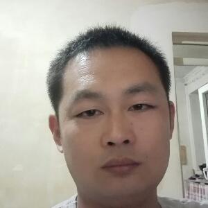自由飞翔