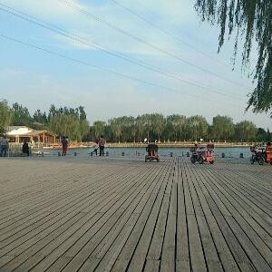 萝卜白菜(╭☞´ิ∀´ิ)╭