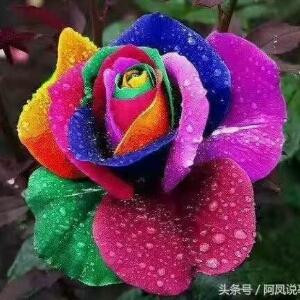 你若安好那还得了