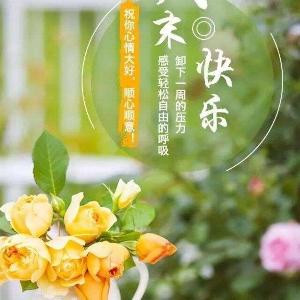 一如既往
