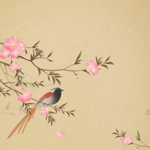 翎羽