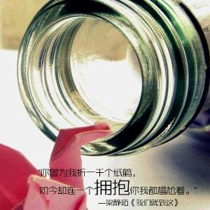 呆呆小书童