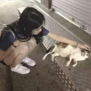 各自生安