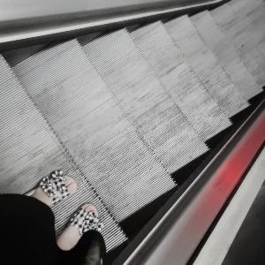 哇哈哈(๑• . •๑)