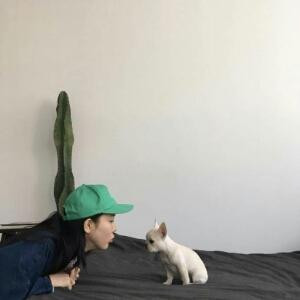 怎样撩