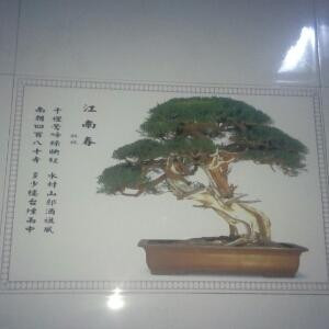 思念