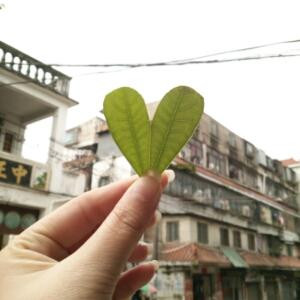 智敏