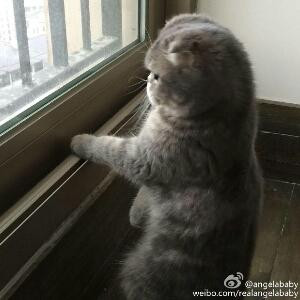 忆往
