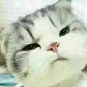 大脸
