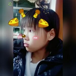 關於陳嘉麗