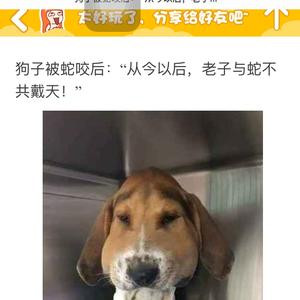 凤凰