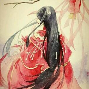 龙葵