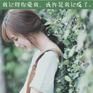曦落雪琴