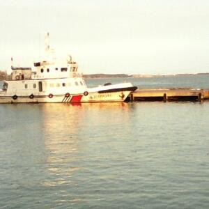 伴我长久是多久