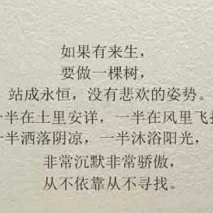 爱喵