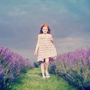 薰衣草中的女孩