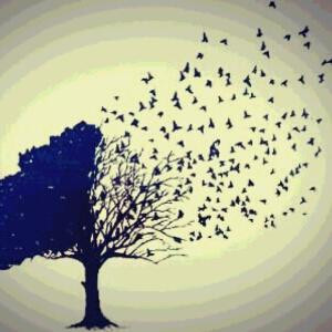 岁月斑驳了什么