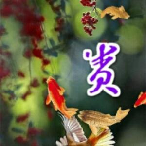 该公司风格