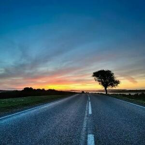 Night
