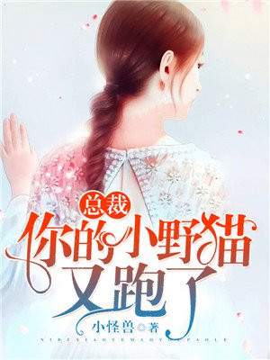 总裁，你的小野猫又跑了