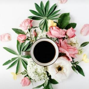 棒棒糖╭ァ狠甜′′