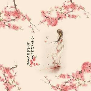 茶小荧
