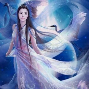 梦落昕蝶