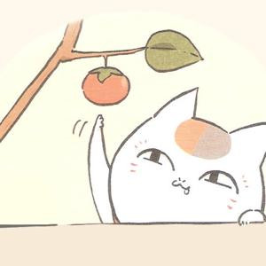 浮悦