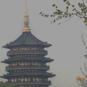唐仁飞