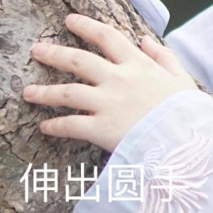 逗逗