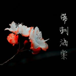 带刺海棠