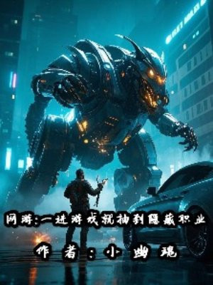 网游：一进游戏就抽到隐藏职业