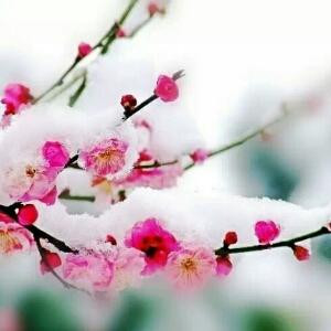 天天