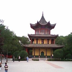 呆子
